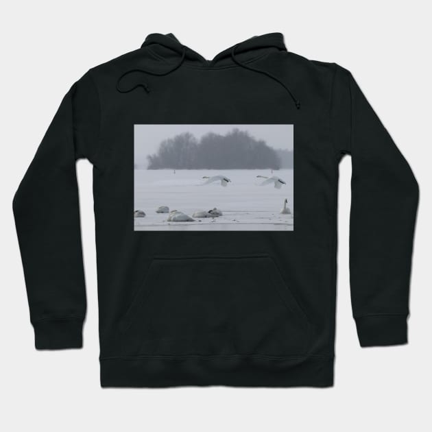 Misty Winter Morning in Muskoka Hoodie by Judy Geller